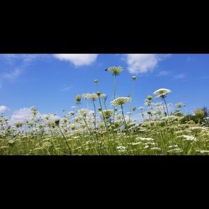 Meet your Posher, Chang